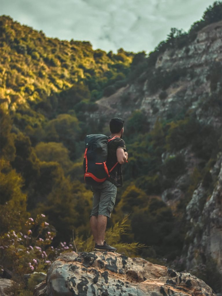 Travelers hiking through lush Kilimanjaro forest during an eco-friendly tour in Tanzania