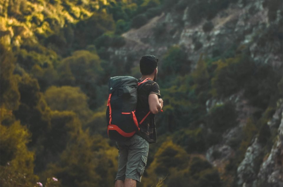 Travelers hiking through lush Kilimanjaro forest during an eco-friendly tour in Tanzania
