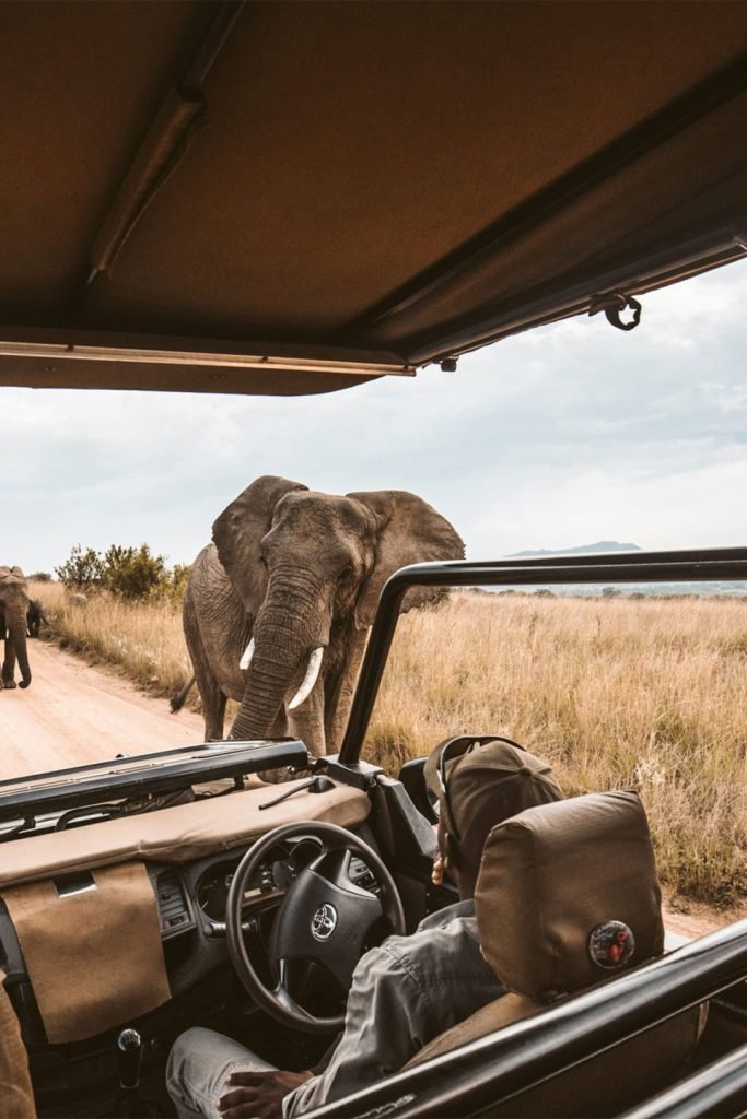 Local Tanzanian guide leading a tour at Serengeti plains