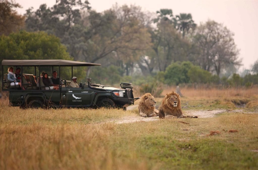 Safari guests in an open &Beyond cruiser observing lions in their natural Serengeti habitat.